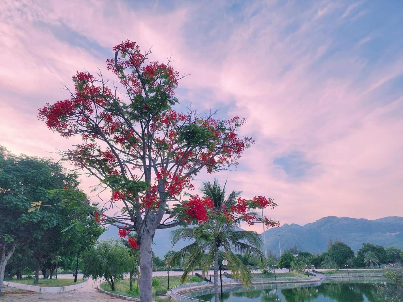 Moc Homestay- Near Bai Dai Beach Cam Lam Экстерьер фото