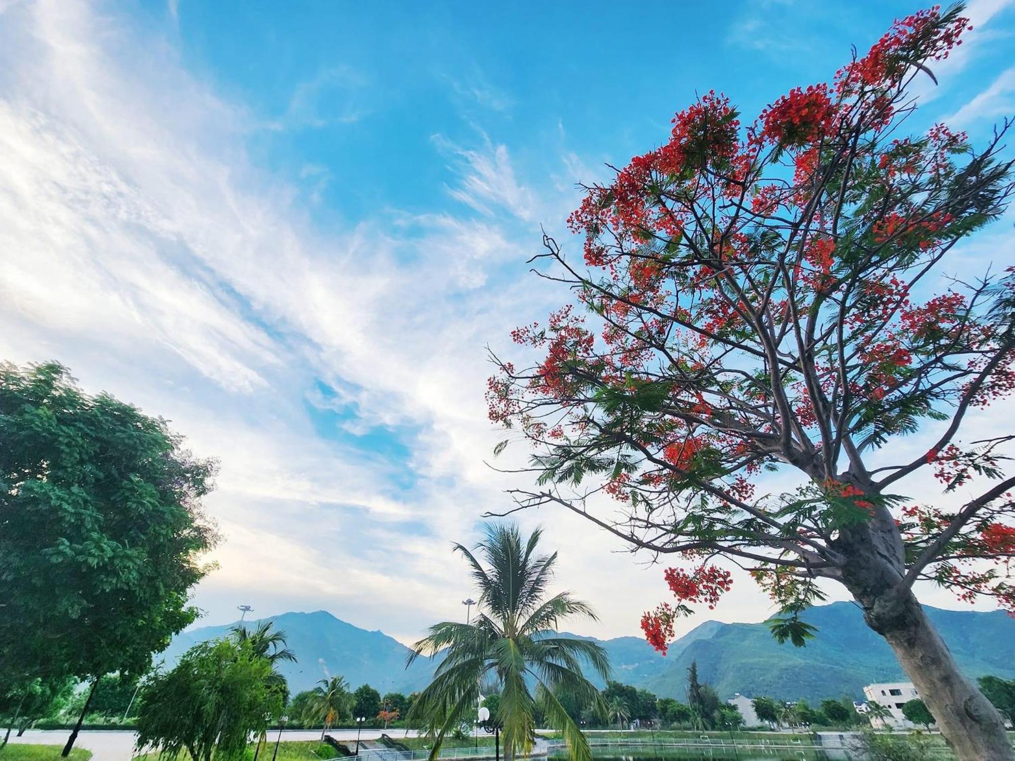 Moc Homestay- Near Bai Dai Beach Cam Lam Экстерьер фото
