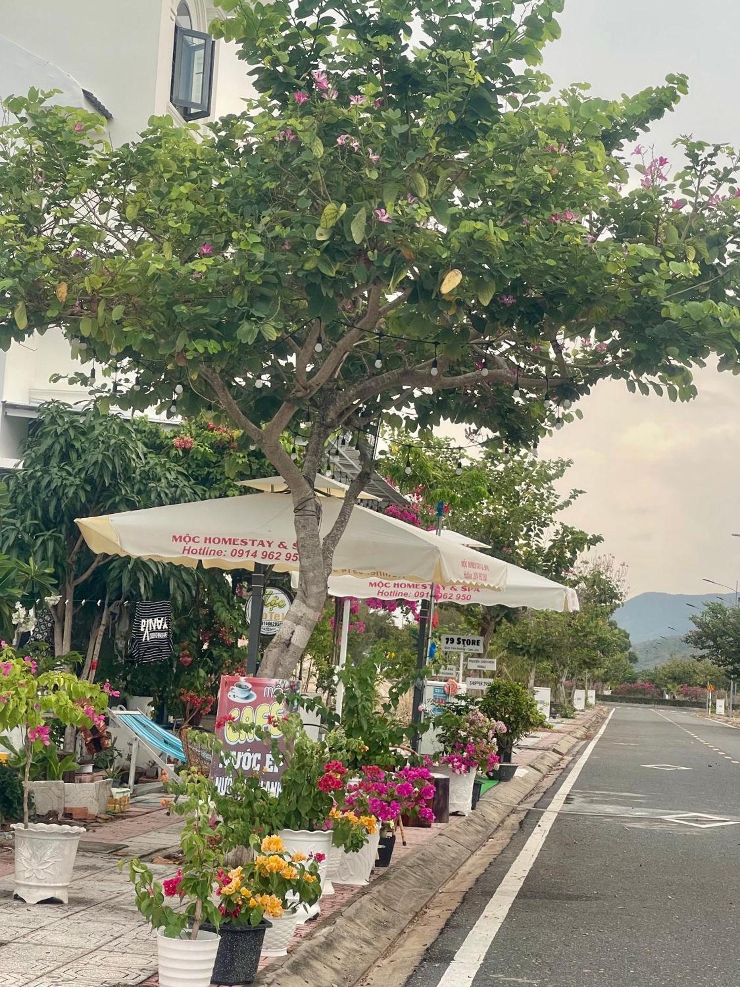 Moc Homestay- Near Bai Dai Beach Cam Lam Экстерьер фото
